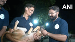 A local NGO in Ahmedabad rescued dogs and birds who were trapped in the area around the site where the #AirIndiaFlightCrash